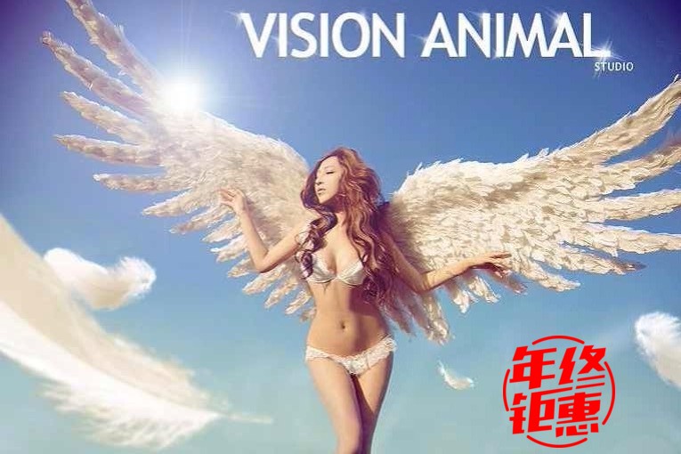 維多利亞的秘密羽毛天使翅膀模特走秀表演舞台跳舞攝影拍照模特在類目 模玩/動漫/周邊/cos/桌遊, 聚會/魔術用品, 聚會用具/裝飾, 翅膀/天使棒中 - 來自Buy2taobao.com提供專業的淘寶代購服務