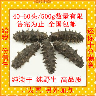  海参 海参批发 同仁堂品质海参 辽参 大连淡干海参 50g 特价包邮