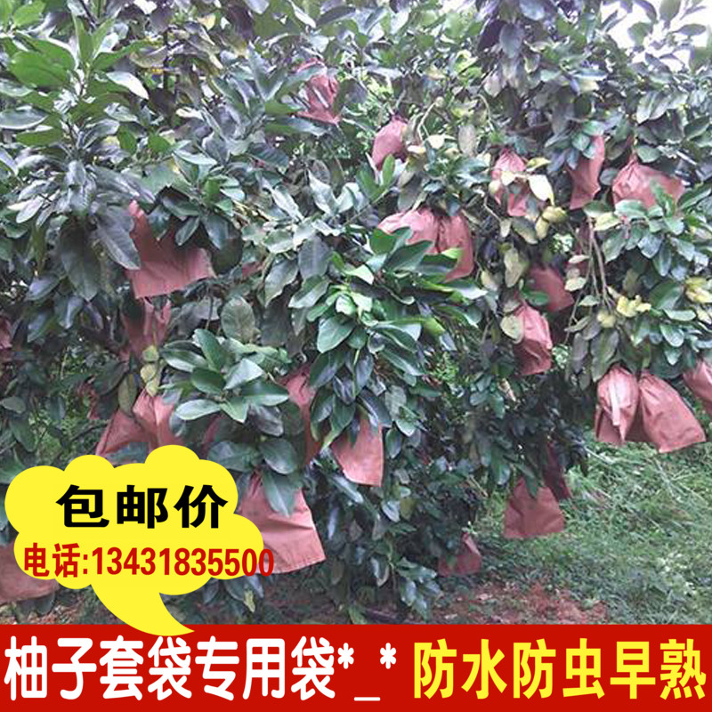 Grapefruit Dedicated Bagging fruit Pest control Precocious Red meat Pomelo Three red pomelo monolayer double-deck three layers paper bagin the Flower delivery/Flowers simulation/Plants gardening , Gardening supplies , Other Garden Supplies category - from Buy2taobao.com to provide professional Taobao agent buy service