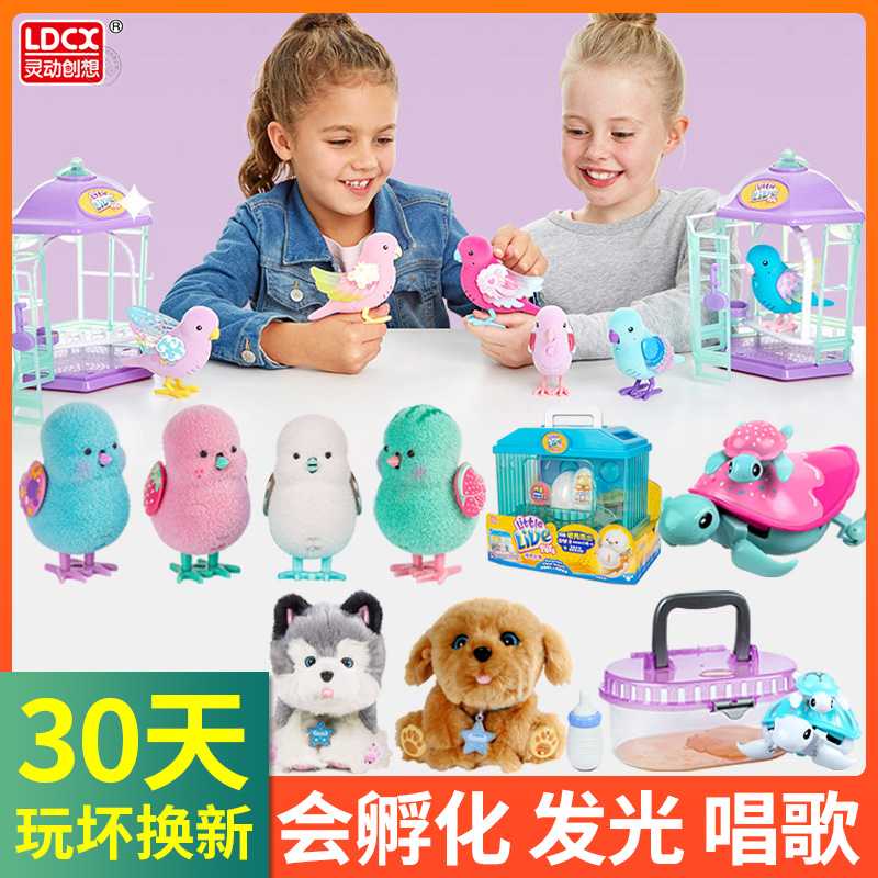 Smart Imagination My Toys luminescence Sing chick Birds Hatch simulation animal children girlin the Toy/Childs/Puzzle/Building block/Model , Electronic/Light/Aerated/Tricky Toy , Glow Toys category - from Buy2taobao.com to provide professional Taobao agent buy service