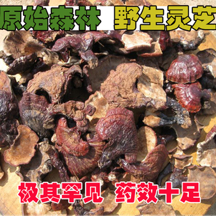  四川山宝  美容养颜  起死回生长生不老  野生灵芝 稀其罕见