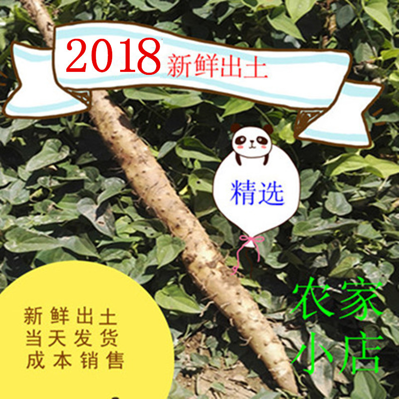 精選10斤 焦作溫縣新鮮垆土鐵棍山藥 鐵杆懷淮山藥 包郵在類目 傳統滋補營養品, 山藥中 - 來自Buy2taobao.com提供專業的淘寶代購服務