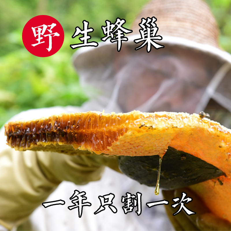 野生蜂巢 深山天然老式成熟结晶土蜂百花巢蜜岩蜜花香 拍就送勺在类目 传统滋补营养品, 蜂蜜中 - 来自Buy2taobao.com提供专业的淘宝代购服务