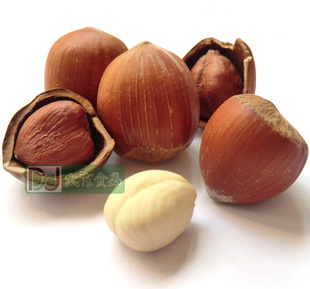  东北特产 干果 野生开口特大榛子原味薄皮毛榛250g 坚果炒货 批发