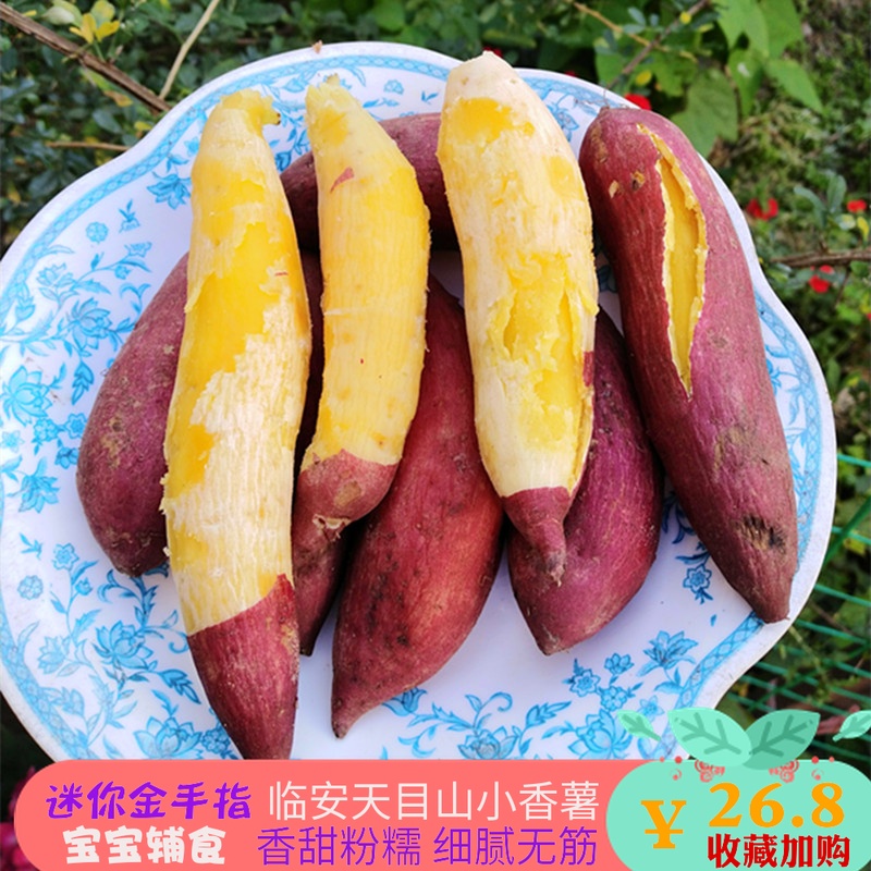 新鮮小紅薯臨安金手指迷妳小香薯5斤蔬菜地瓜小番薯黃心板栗紫薯在類目 水產肉類/新鮮蔬果/熟食, 新鮮蔬菜/蔬菜製品, 新鮮蔬菜, 番薯中 - 來自Buy2taobao.com提供專業的淘寶代購服務