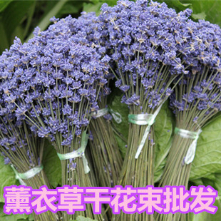 Xinjiang Ili Lavender Dry bouquet Decorative flowers Valentine's Day gift Unburden Lavender flowers romantic Wait lovein the Flower delivery/Flowers simulation/Plants gardening , Spend eternity/Dried flowers , Dried flowers category - from Buy2taobao.com to provide professional Taobao agent buy service