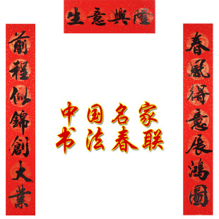  上善若水 春联对联批发 新年装饰品过年用品蛇年开运红纸9629