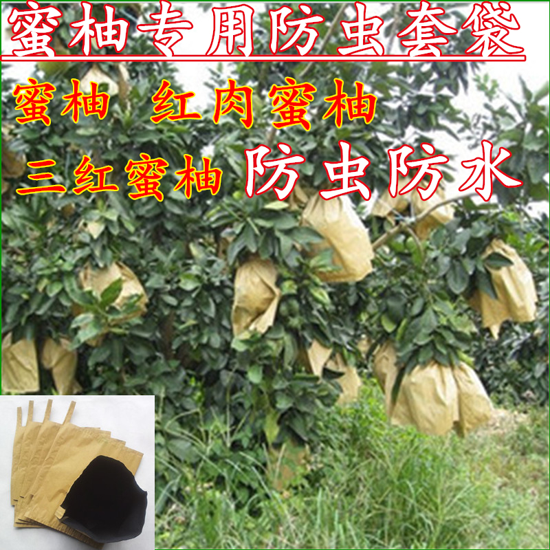 单双层30/32*37柚子水果套袋红肉密柚套果袋 柚子专用防虫鸟套袋在类目 鲜花速递/花卉仿真/绿植园艺, 园艺用品, 其它园艺用品中 - 来自Buy2taobao.com提供专业的淘宝代购服务