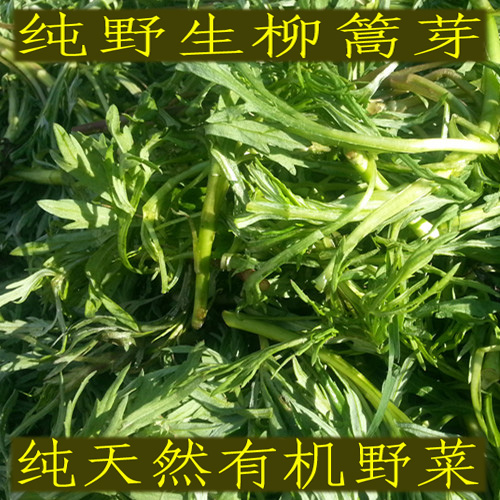 19年保鮮袋的野生柳篙芽東北小興安嶺特産柳蒿菜柳篙蘸醬包餡菜在類目 水產肉類/新鮮蔬果/熟食, 新鮮蔬菜/蔬菜製品, 新鮮蔬菜, 其它中 - 來自Buy2taobao.com提供專業的淘寶代購服務
