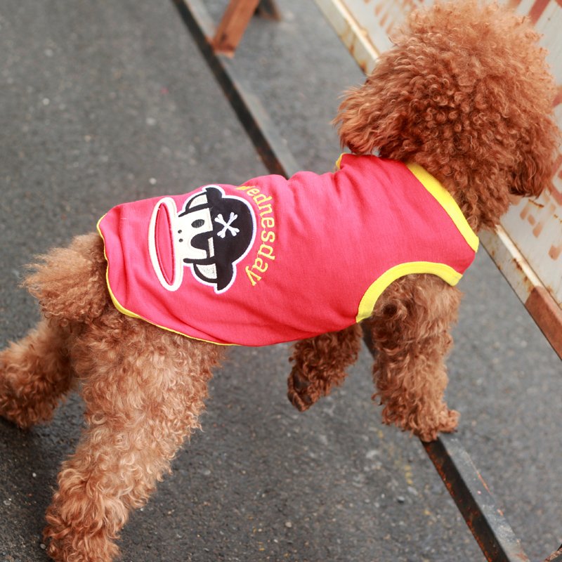 【宠物 狗狗】_宠物狗中文名字大全_宠物狗 - 购物网宠物 狗狗