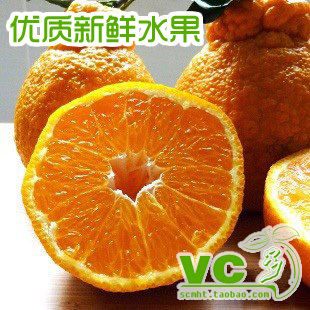  新鲜水果 不打蜡 现摘  有机杂柑 脆甜 不知火/丑柑/ 果农直销