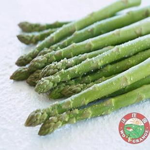  新品上架有机青芦笋500g 中细 新鲜蔬菜之王 仅圆通发送江浙沪