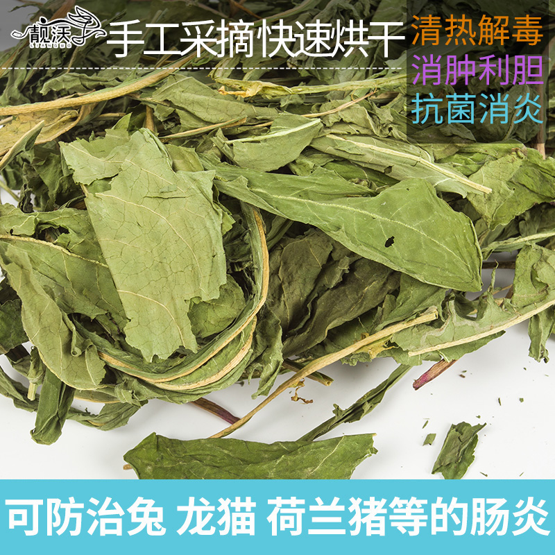 18年兔兔干草蒲公英茶晒干野生婆婆丁去火消炎治拉稀500克兔子在类目 宠物/宠物食品及用品, 兔类及其用品, 兔兔干草中 - 来自Buy2taobao.com提供专业的淘宝代购服务
