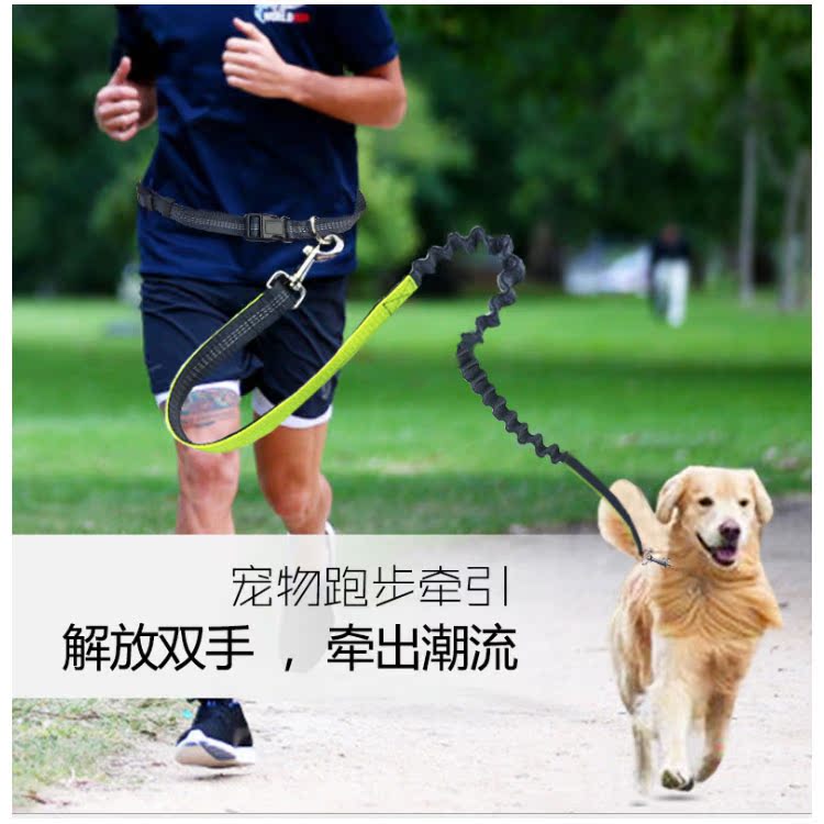 尼龙跑步牵狗绳 牵狗带 可缓冲可伸缩 夜跑安全反光丝在类目 宠物/宠物食品及用品, 猫/狗日用品, 家用牵引带中 - 来自Buy2taobao.com提供专业的淘宝代购服务