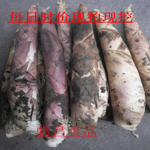  临安特产自天目山春笋 雷笋新鲜竹笋冬笋龙康笋纯绿色蔬菜500克