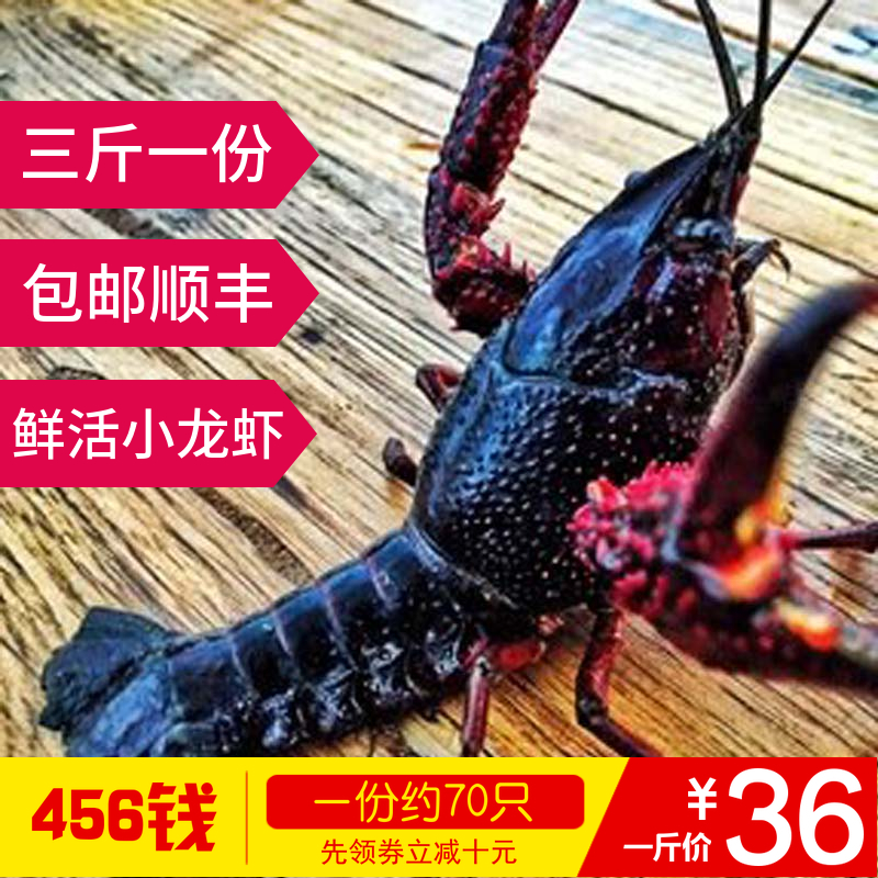 硬派老王微山湖现货清水小龙虾456钱/只三斤装鲜活体龙虾顺丰包邮在类目 水产肉类/新鲜蔬果/熟食, 海鲜/水产品/制品, 虾类, 活虾中 - 来自Buy2taobao.com提供专业的淘宝代购服务