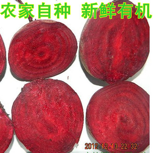  吴永志推荐新鲜有机甜菜根 蔬菜红菜头 紫菜头 新货 养生补血抗癌