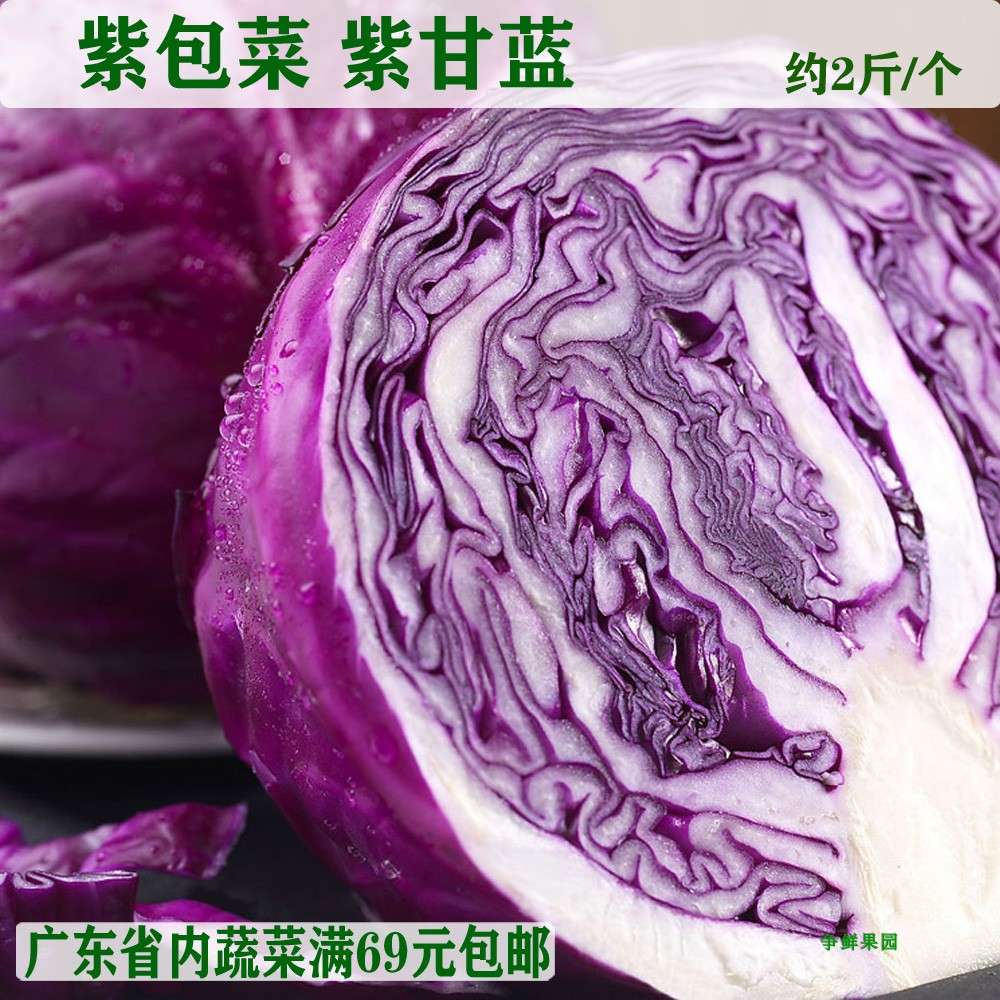 Purple cabbage Fresh vegetables Red cabbage Cabbage Salad with vegetables Wobble Colour matching is about 2 kg/individualin the Aquatic meat/Fresh fruits and vegetables/Cooked , Fresh vegetables/Vegetable products , Fresh vegetables , Other category - from Buy2taobao.com to provide professional Taobao agent buy service