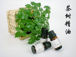 ���ݽ��ڲ������� ������������ � ȥ��ӡ ��Ʒ10ml