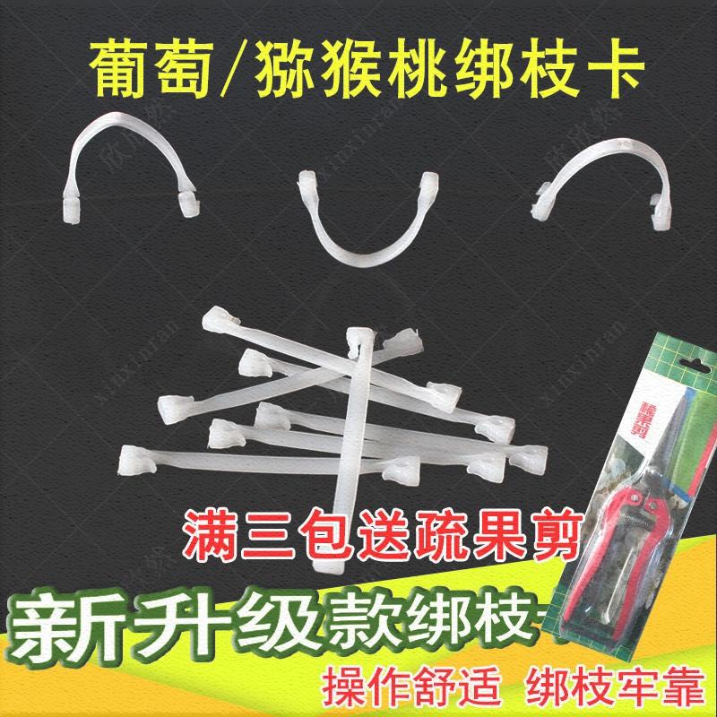 葡萄猕猴桃綁枝卡綁枝器葡萄綁枝卡扣 挂鈎綁蔓卡子葡萄卡子卡扣在類目 鮮花速遞/花卉仿真/綠植園藝, 園藝用品, 其它園藝用品中 - 來自Buy2taobao.com提供專業的淘寶代購服務