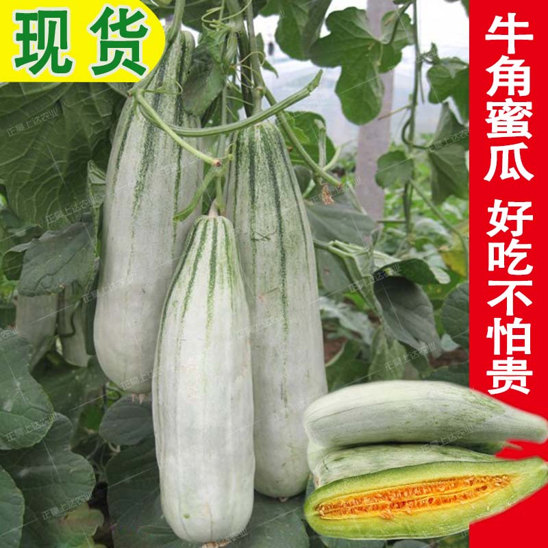 水果新鲜当季应季 带箱5斤装小甜瓜脆瓜羊角脆香瓜羊角蜜甜瓜在类目 水产肉类/新鲜蔬果/熟食, 新鲜水果, 哈密瓜中 - 来自Buy2taobao.com提供专业的淘宝代购服务