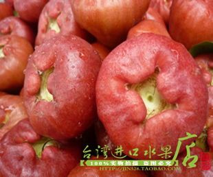  台湾新鲜水果 台湾莲雾 黑珍珠莲雾 脆甜多汁5斤顺丰包邮