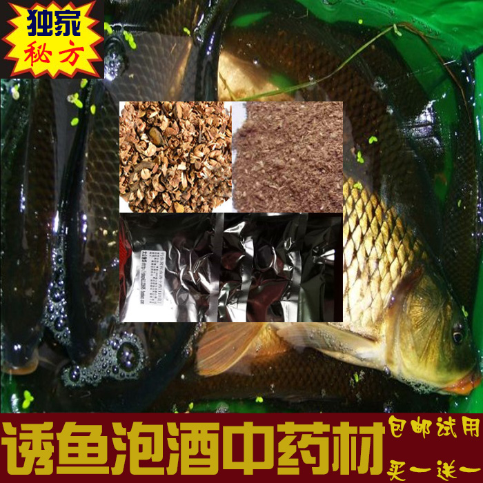 阿魏钓鱼配方哪个好?阿魏钓鱼配方价格,阿魏钓