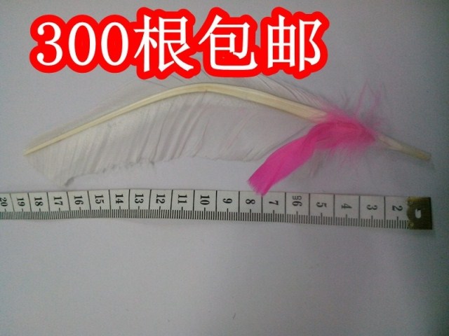 正品大连春笛 毽毛 低价 0.35元每个 300根包邮在类目 运动/瑜伽/健身/球迷用品, 毽子/空竹/民间运动, 毽子中 - 来自Buy2taobao.com提供专业的淘宝代购服务