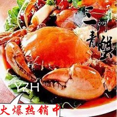  膏蟹 三门青蟹 螃蟹 海鲜鲜活母螃蟹帝王蟹皇帝蟹海螃蟹单只八两
