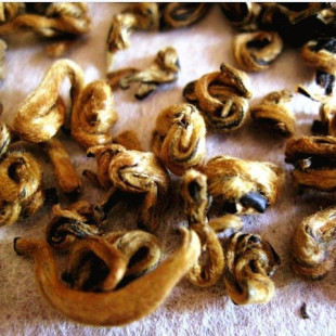  新茶！年早春茶极品红茶红碧螺/特级金丝滇红茶 自产自销批发
