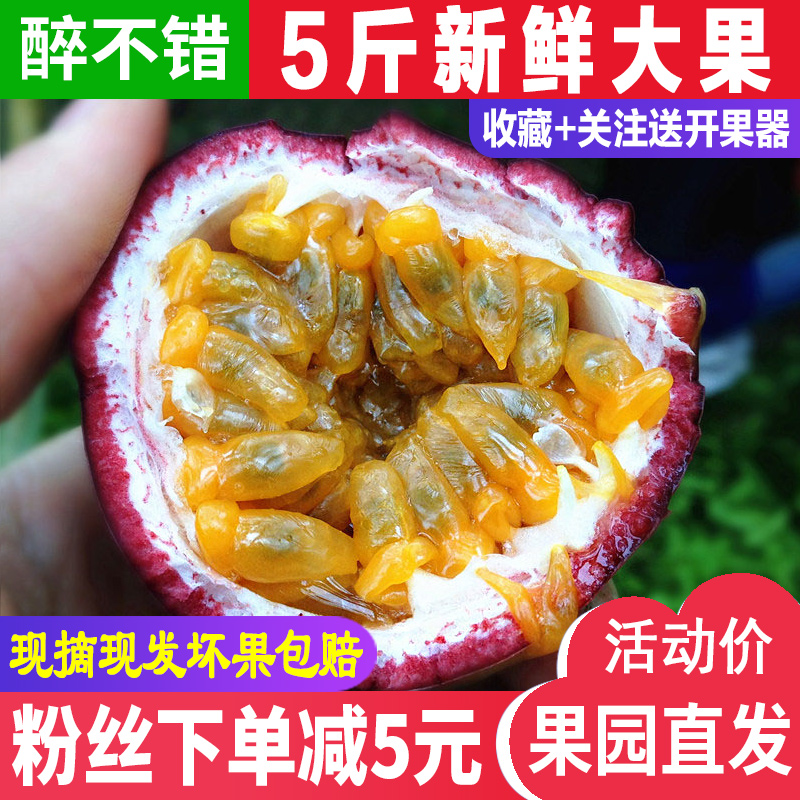 广西 新鲜百香果 台农2号 西番莲 鸡蛋果 海南水果 5斤装大果包邮在类目 水产肉类/新鲜蔬果/熟食, 新鲜水果, 百香果中 - 来自Buy2taobao.com提供专业的淘宝代购服务