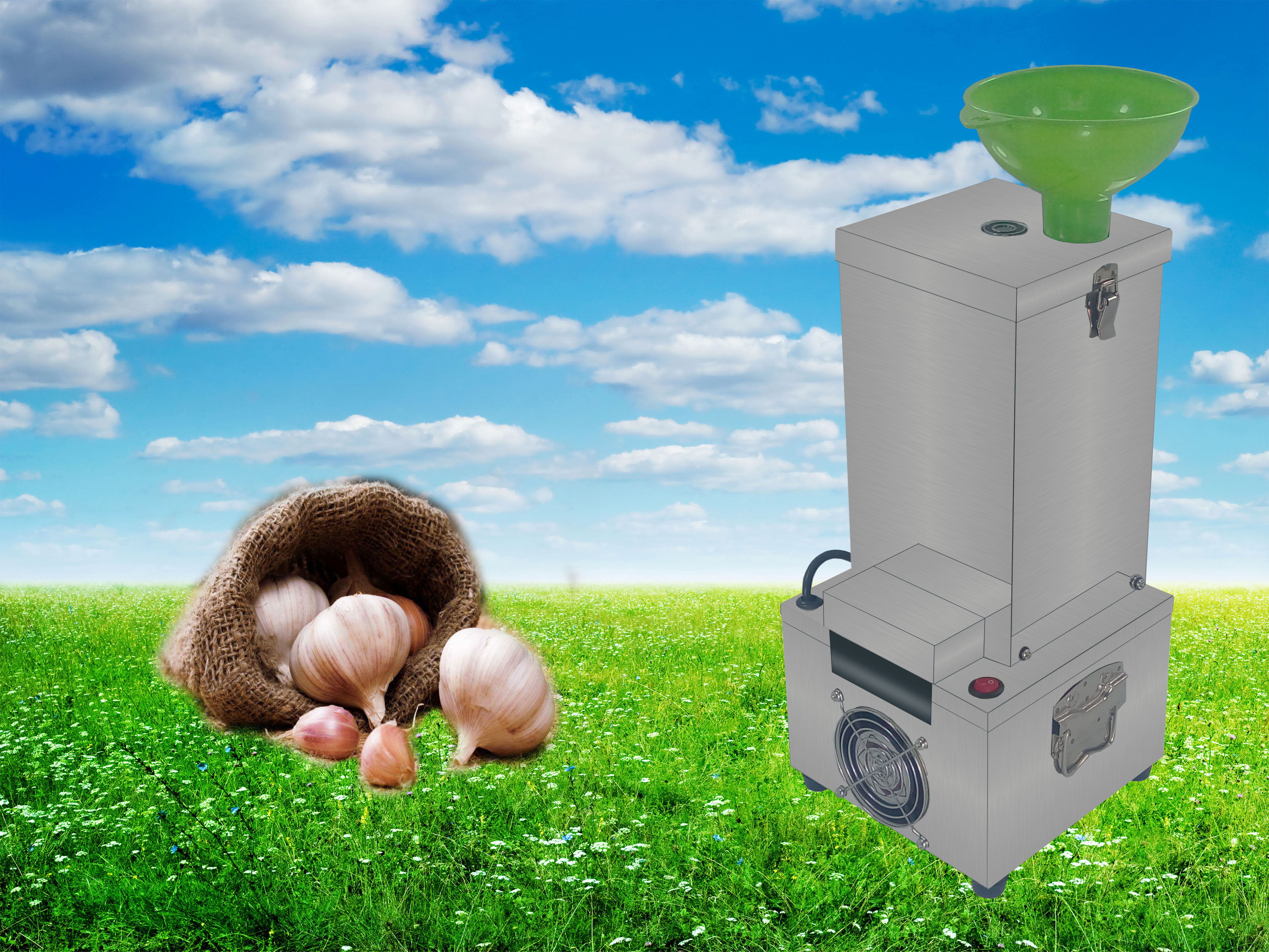 Stainless steel Electric Garlic Peeling machine Peel garlic machine Peeling machine Peelers commercial householdin the Kitchen/Cooking utensils , Kitchen Gadgets/Kitchen storage , Peel garlic/Garlic presses category - from Buy2taobao.com to provide professional Taobao agent buy service