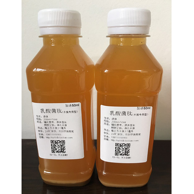 水产乳酸菌 水产养殖鱼虾蟹鳝贝海参用乳酸菌 诱食复合乳酸菌种|msdalam kategori haiwan peliharaan/makanan haiwan dan bekalan, Aquarium World, 其他益生菌 - dari Buy2taobao.com untuk memberikan perkhidmatan ejen Taobao profesional membeli