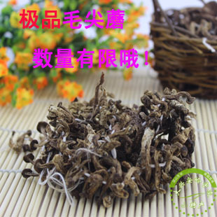 东北大兴安岭极品野生毛尖蘑菇干货 金娃娃 金子蘑菇  特小蘑菇
