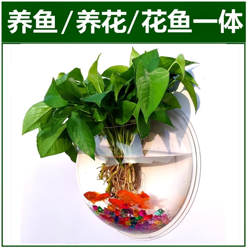 originality decorate Pendant Flower trellis balcony a living room Scindapsus Wall Punch holes wall Wall hanging Flower pot Shelf bedroomin the Home accessories , Mural category - from Buy2taobao.com to provide professional Taobao agent buy service
