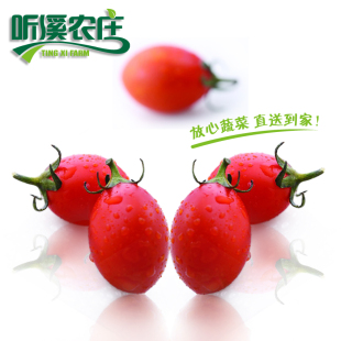  圣女果（小番茄） 200g/份 厦门听溪农庄有机种植蔬菜