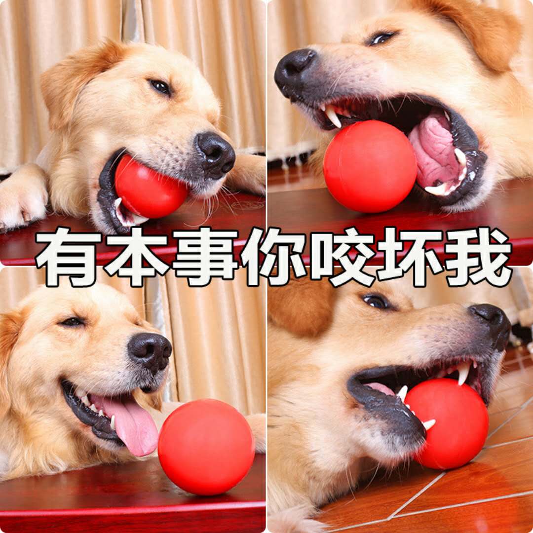 实心耐咬德牧金毛狗狗大中小号玩具球宠物弹力球橡胶球训练玩具|msdalam kategori haiwan peliharaan/makanan haiwan dan bekalan, Cat/Mainan anjing, bola getah/mainan sfera - dari Buy2taobao.com untuk memberikan perkhidmatan ejen Taobao profesional membeli