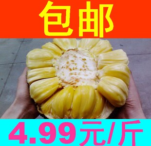  菠萝蜜海南菠萝蜜马来西亚新鲜水果1号木菠萝批发促销20斤包邮