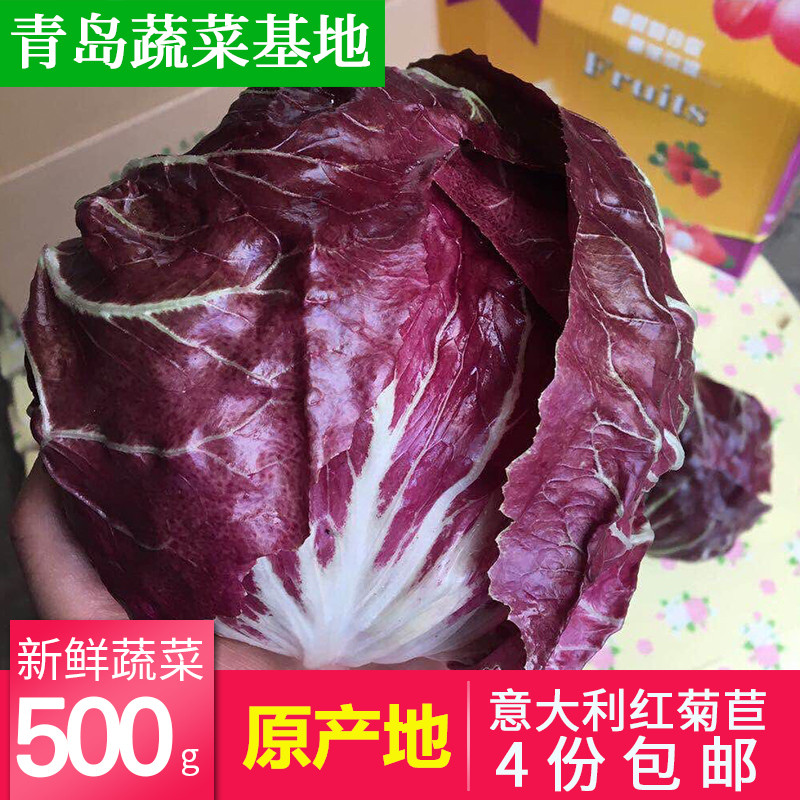 意大利红菊苣500g落地球生菜青岛新鲜蔬菜西餐沙拉生鲜农产品包邮|ruв категории водной мясо/свежие фрукты и овощи/еда, свежие овощи/овощной продукции, свежие овощи, другие - от Buy2taobao.com для оказания профессиональной услуги покупки агента Taobao