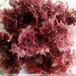  特级 野生石花菜 海石花 藻类制品 海藻 满68包邮 特价促销14半斤