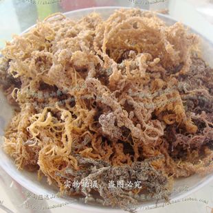  印尼鹿角菜 龙须菜 珊瑚草 石花菜 藻类制品 干货特价 500克包邮