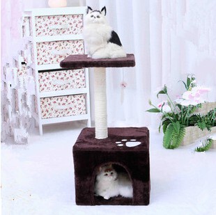 威风小强_淘宝网威风小强