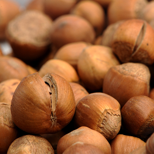  嘛嘛香东北特产坚果炒货野生开口炒山榛子500g 送钳子 包邮