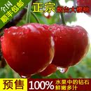 预售 大樱桃 烟台大樱桃 福山大樱桃 绿色有机 顺丰包邮 6月发货 预售 大樱桃 烟台大樱桃 福山大樱桃 绿色有机 顺丰包邮 6月发货
