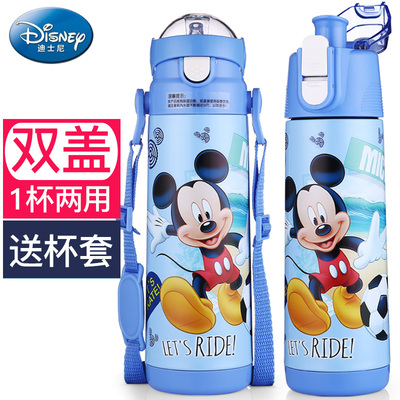 迪士尼儿童水杯水壶宝宝防摔幼儿园水瓶小孩保温杯带吸管杯两用