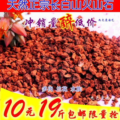 20斤天然红色火山石火山岩多肉拌土铺面石鱼缸水族垫底颗粒兰花