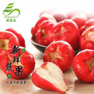  海客乐食品 预售牛奶莲雾 水果莲雾 新鲜水果 海南水果 买三送一