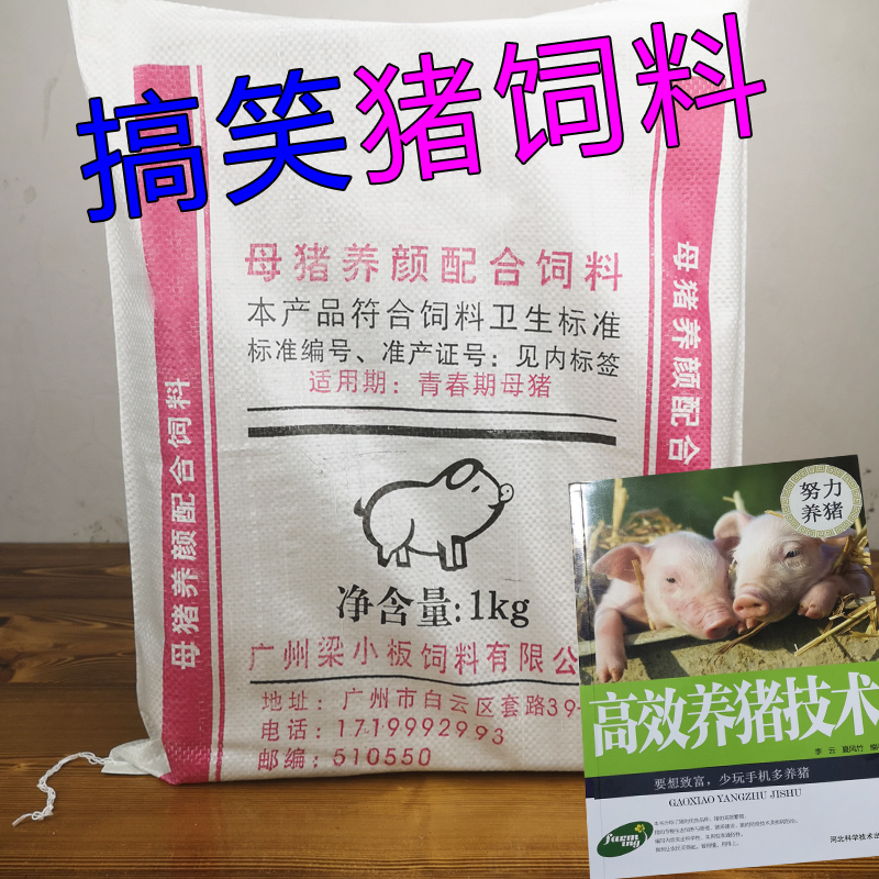 情人节恶搞猪饲料生日礼物新奇葩整蛊人特别搞笑送男女生朋友同学在类目 节庆用品/礼品, 整蛊用品中 - 来自Buy2taobao.com提供专业的淘宝代购服务