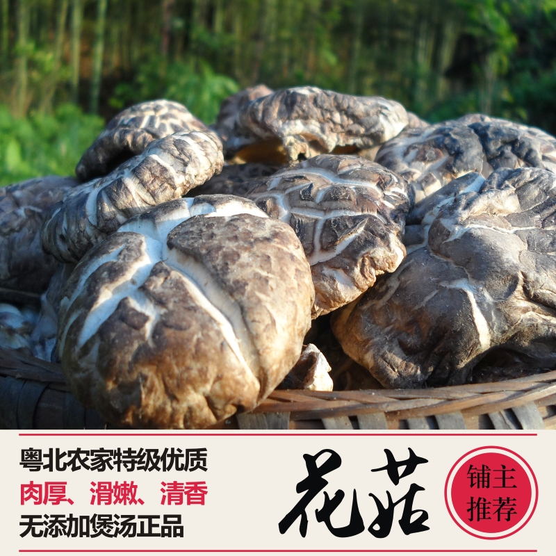 guangdong Super high quality Flower Mushroom Shaoguan Danxia Mountain mushrooms Shixing Qingyuan Heyuan Yingde specialtyin the Agri rice/Dried foods/Condiment , Dried foods/Meat Dry , Dry/Native , Mushroom category category - from Buy2taobao.com to provide professional Taobao agent buy service