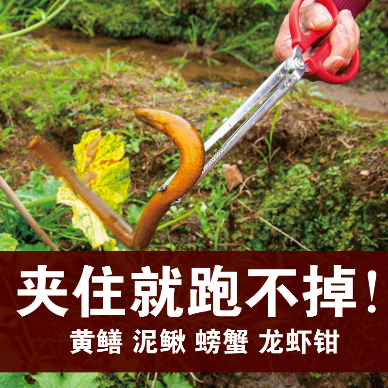 黃鳝夾鳝魚鉗龍蝦鉗泥鳅螃蟹夾子鉗子防滑夾魚神器垃圾夾抓捕工具在類目 五金/工具, 手動工具, 夾持類工具, 其它夾持類工具中 - 來自Buy2taobao.com提供專業的淘寶代購服務